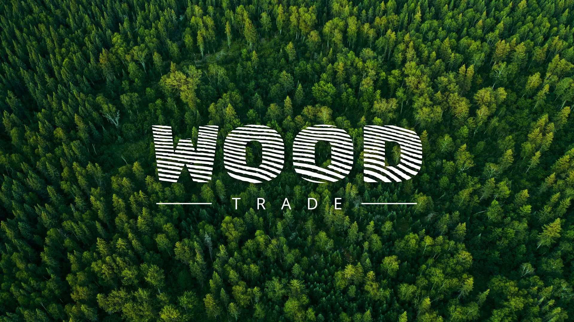 Разработка интернет-магазина компании «Wood Trade» в Электрогорске